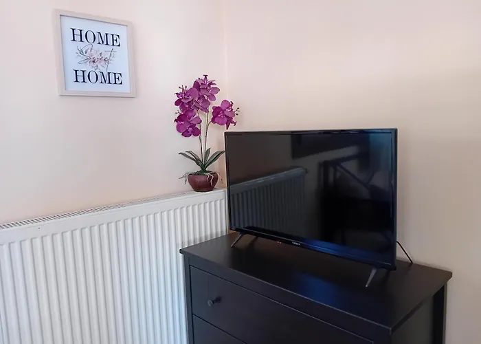 Fun & Sun リメナリア